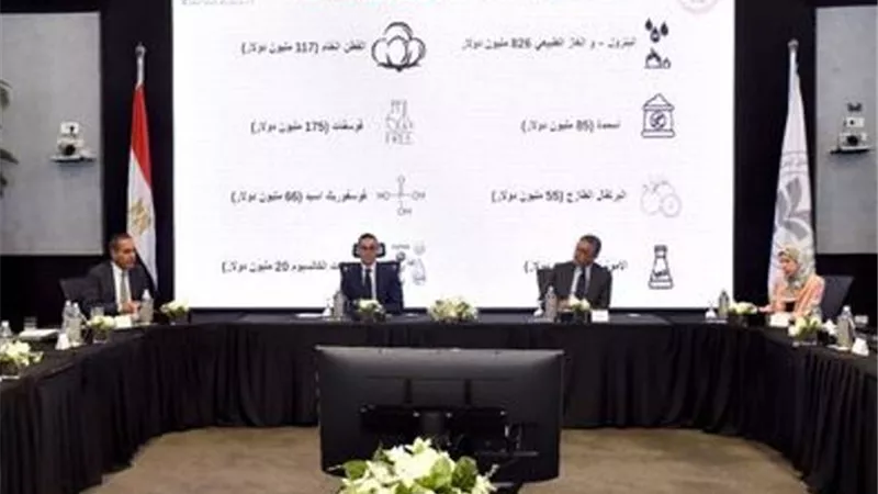 الاستثمار: مبادرة لزيادة الاستثمارات الهندية في مصرإلى 5 مليارات دولار