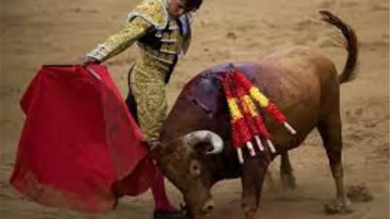 رئيس كولومبيا يصدر قانونا يحظر مصارعة الثيران في جميع أنحاء البلاد