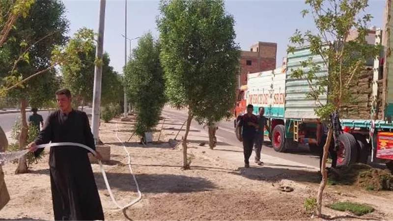 تعرف على أحدث مشروعات الزراعة والتجميل فى سوهاج الجديدة.. بالصور