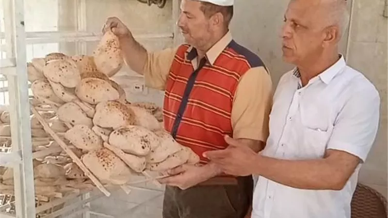 مرور مفاجئ من جهاز بدر على المخابز البلدية وحملات لمكافحة الحشرات صور