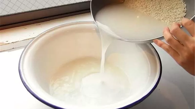 فوائد ماء الأرز للأسنان