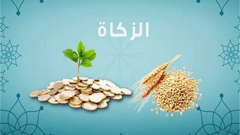 ما هي زكاة المال المدخر الذي لا يُستثمر؟ دار الإفتاء تجيب
