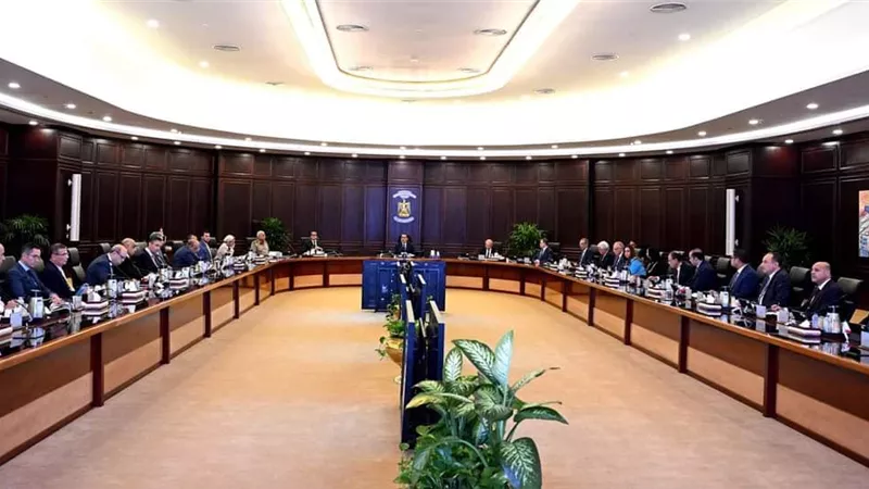 الحكومةتوافق على تركيب عداد كودي لتوصيل الكهرباء للمنشآت غير القانونية