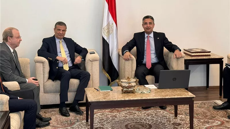 وزيرا التموين والزراعة يبحثان تحديد الأسعار الاسترشادية للمحاصيل الاستراتيجية