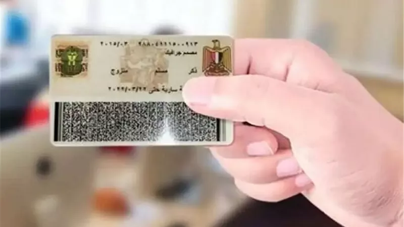 هل عدم تحديث بيانات الرقم القومي يستوجب العقوبة؟