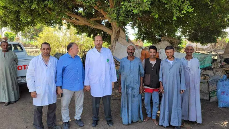 تحصين ١٠٤ آلاف رأس ماشية ضد مرض الحمى القلاعية بالمنيا
