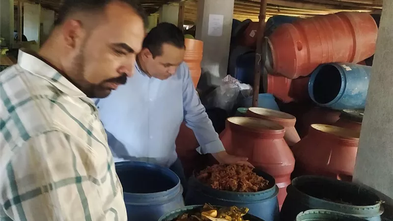 حملات رقابية على المخابز وثلاجات حفظ اللحوم في بلبيس