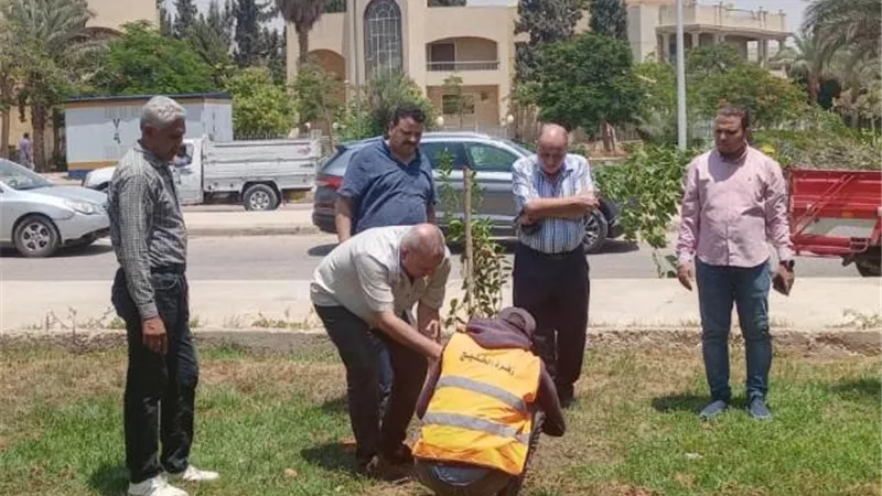 جهاز الشروق يعلن تفاصيل مبادرة لزراعة 3500 شجره مُثمرة.. بالصور