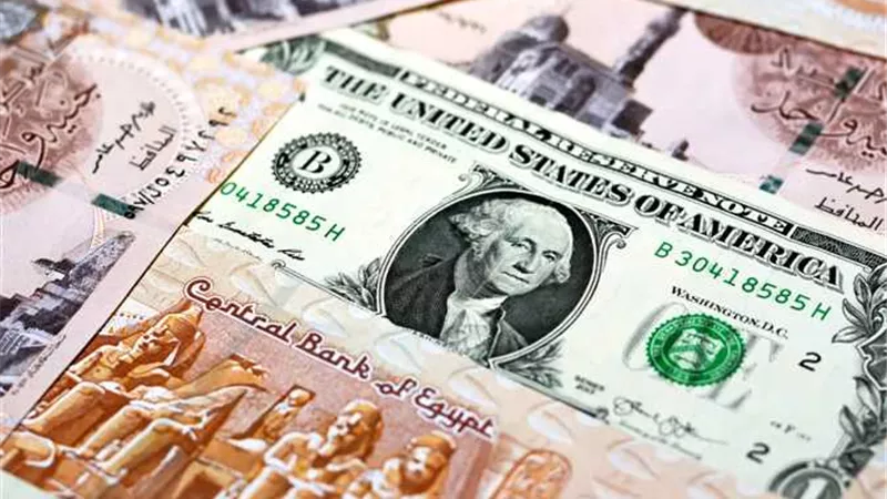 سعر الدولار مقابل الجنيه المصري في البنوك اليوم