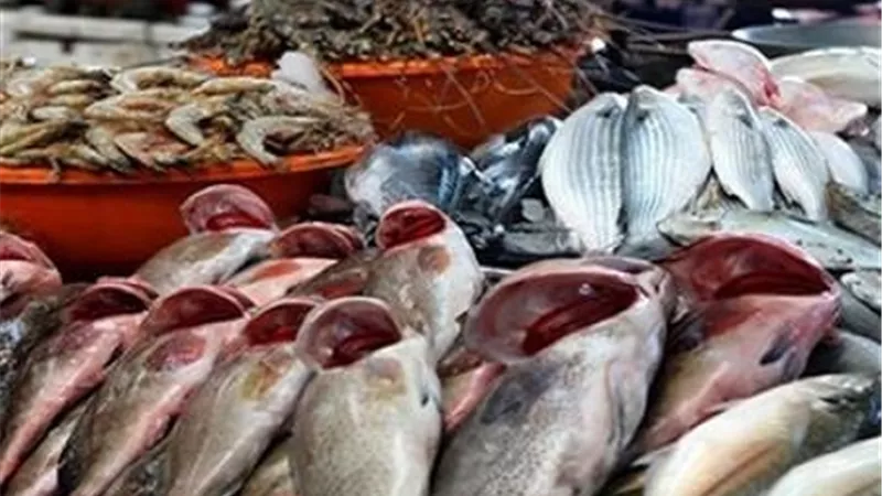 أسعار السمك اليوم الأحد 28-7-2024
