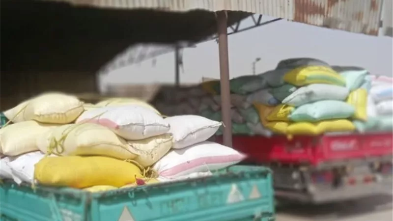 الشرقيه الأولى في إنتاج وتوريد القمح للشون والصوامع