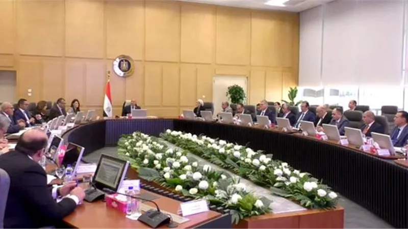 المشاط: توجيه 37% من الاستثمارات الحكومية هذا العام للتنمية الصناعية