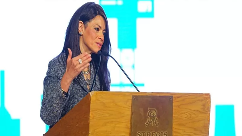 المشاط: نتعاون مع الشركاء الدوليين لدعم الدولة في توطين الصناعة