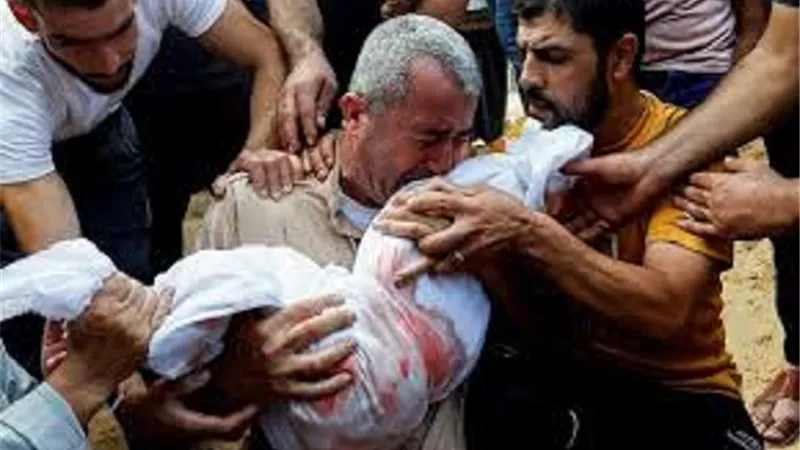 66 شهيداً و241 مصاباً في 3 مجازر إسرائيلية جديدة بغزة