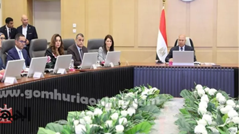 وزيرة التنمية المحلية : تحفيز الاستثمار في المناطق الصناعية