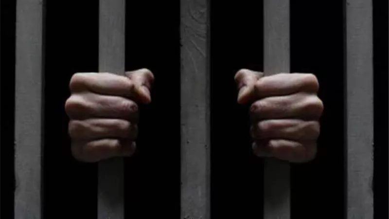 المؤبد لقاتل زوجته الحامل طعنها 44 طعنه نافذة