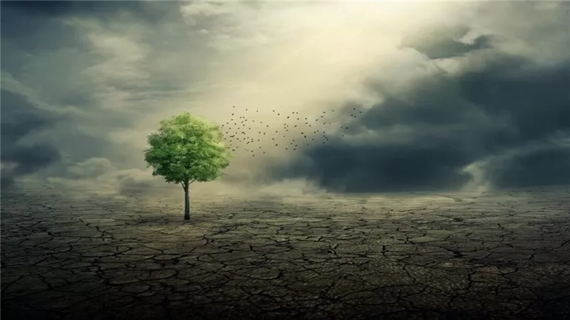 العلوم الصينية تكشف عن سبب تغير هطول الأمطار على الأرض