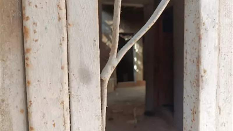 المدمن قتل اطفاله الأربعة بعد هروب زوجته وعاش مع جثثهم يومين