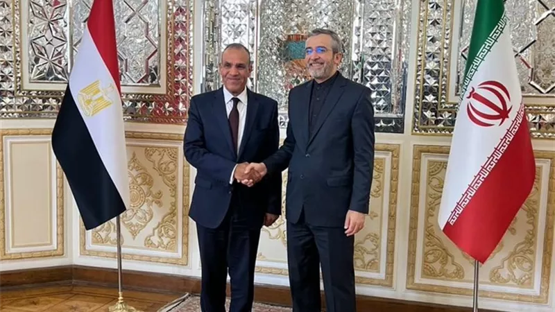 وزير الخارجية يشارك في مراسم تنصيب الرئيس الإيراني الجديد