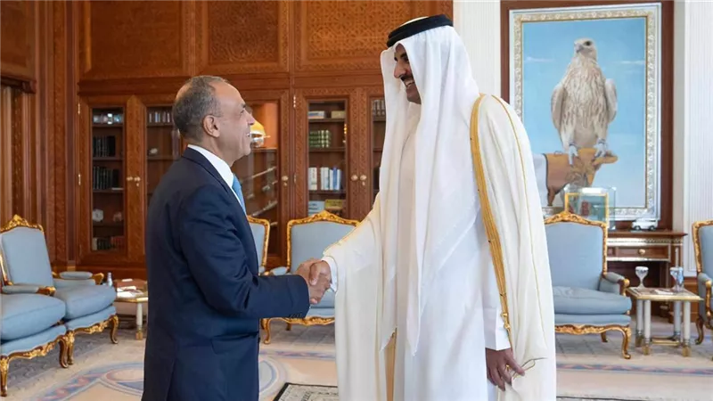 وزير الخارجية يشيد بالعلاقات المصرية القطرية