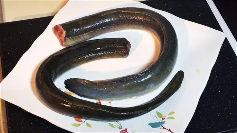 بسبب اكله شهيرة..ثعبان بحر يقتل امرأة