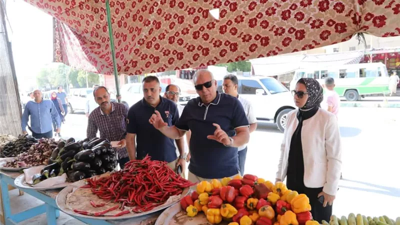 محافظ الوادى الجديد: حملة موسعة لضبط أسعار الخضر ومواقف الأجرة