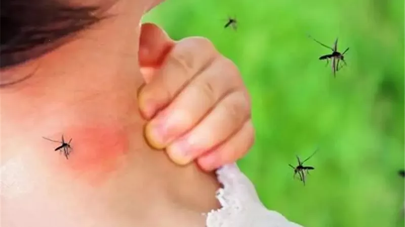 منها حمى الضنك .. 5 أمراض موسمية يجب الحذر منها