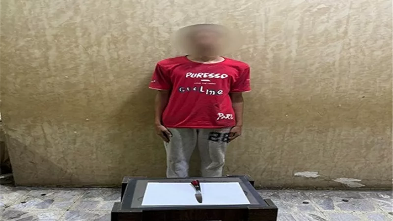 الداخلية تكشف تفاصيل فيديو لشخص يتسلل لشقة سيدة وبحوزته 
