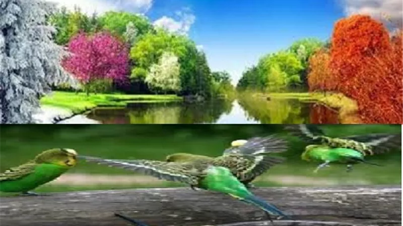 ما الذى ينتظر الشهيد كتب الله على نفسه ان يُبلغه لنا