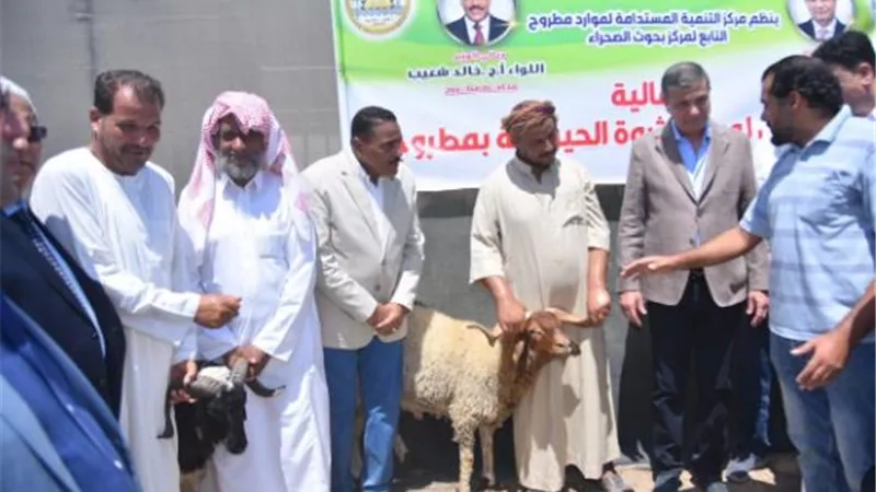وزير الزراعة ومحافظ مطروح يوزعان 50 الف شتلة زيتون و 120 كبش