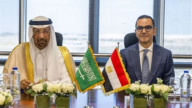 الخطيب : تفعيل نظام الرخصة الذهبية بين مصر والسعودية