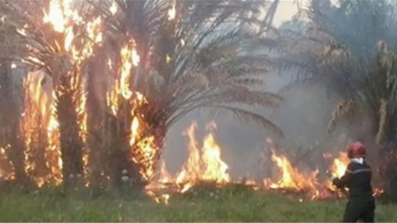 السيطرة على حريق بمخلفات الخيش والبوص داخل مزرعة بأخميم