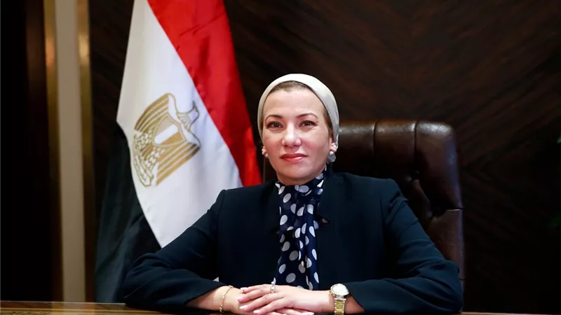 مصر والدنمارك تقودان تسهيل التفاوض حول تمويل المناخ فى COP 29