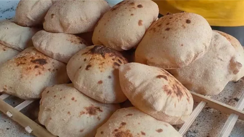 هل يرتفع سعر الخبز السياحي بعد زيادة السولار؟ شعبة المخابز تجيب