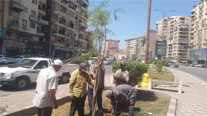 محافظ الدقهلية: استمرار زراعة الأشجار المثمرة بالطرق والحدائق