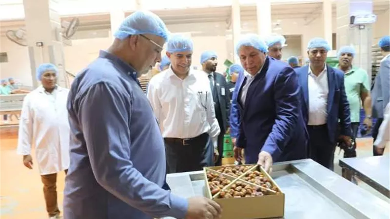 محافظ الوادي الجديد ومدير التمور يتفقدان مصانع البلح