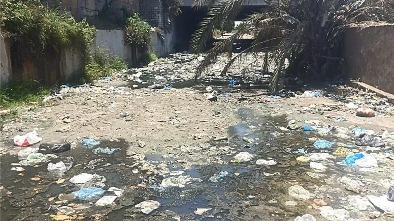رئيسة حي غرب تكلف برفع كفاءة النظافة بمنطقة كوبري النوبارية