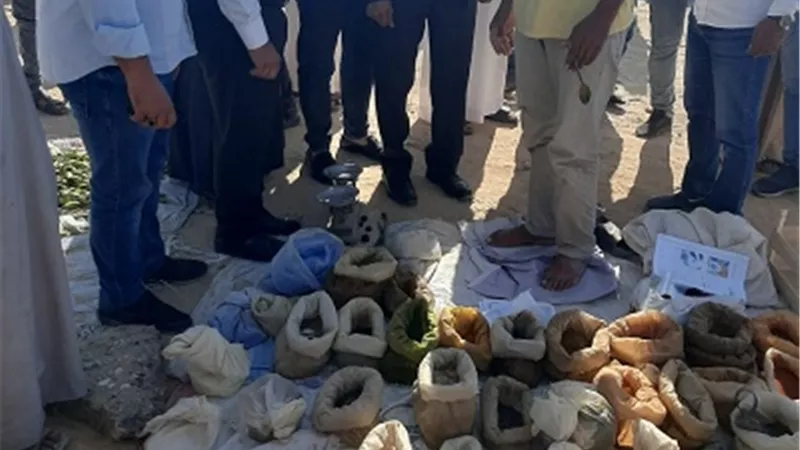 محافظ شمال سيناء يتفقد سوق الجورة بالشيخ زويد