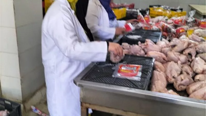 ضبط 3 أطنان دواجن غير صالحة بأحد المجازر بالشرقية