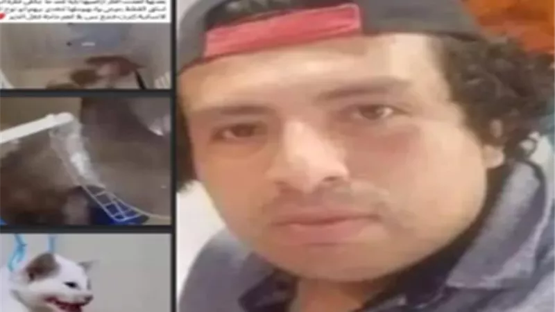 القبض على سفاح القطط بالإسكندرية