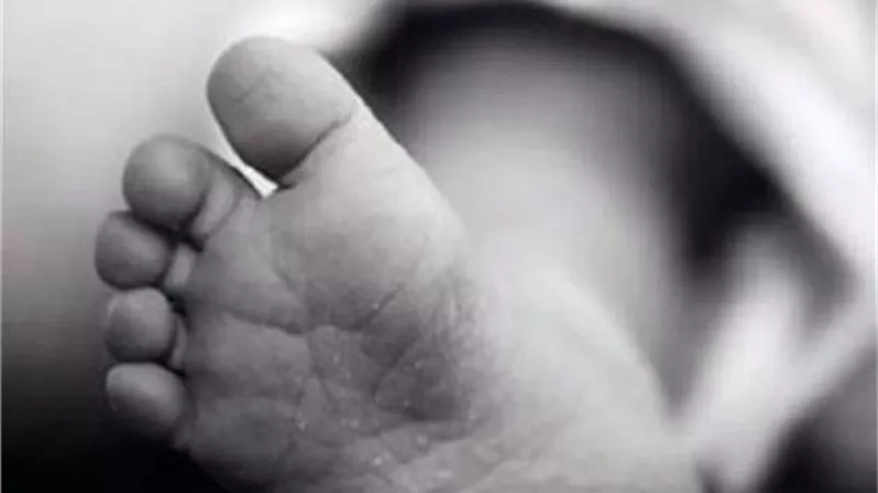 اعترافات عاملين بمستشفى باعا جثة رضيع في السلام