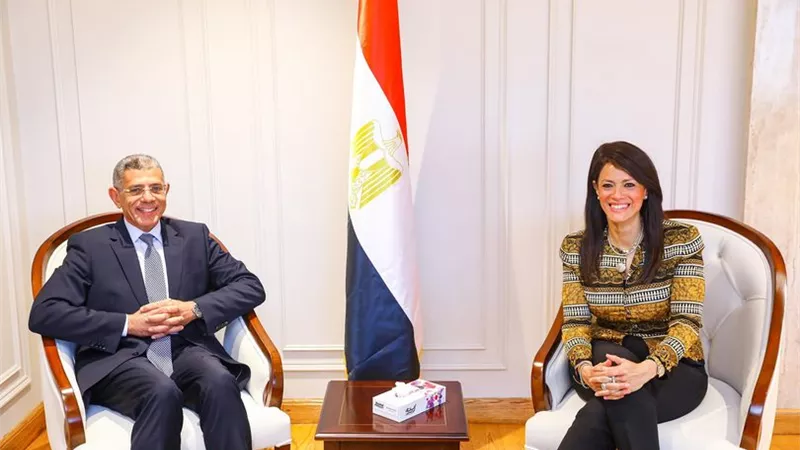 المشاط: تعزيز الاستفادة من «الأقمار الصناعية» لتنفيذ الخطة الاستثمارية