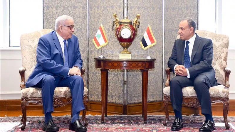 وزير خارجية لبنان يشكر مصر لجهودها الداعمة لبلاده ووقف التصعيد