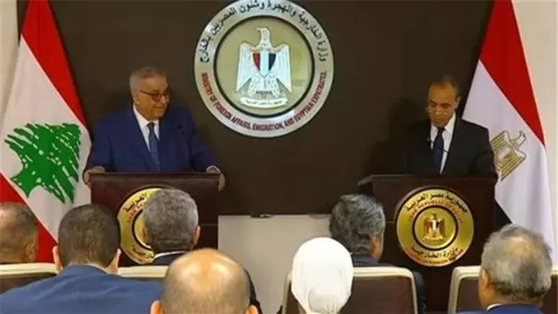 وزير الخارجية يحذر من خطورة انزلاق المنطقة إلى حرب إقليمية شاملة