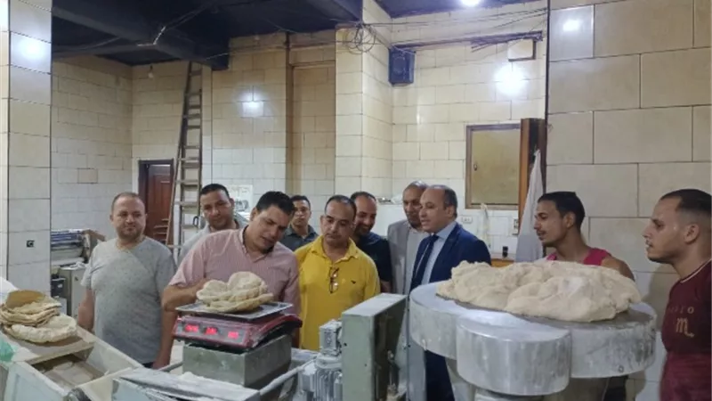 محافظ كفرالشيخ: تحرير 25 محضرًا تموينيًا بدسوق