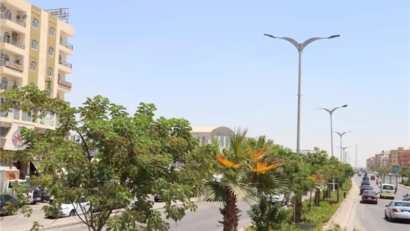 جهاز 6 أكتوبر :زراعة الأشجار للحد من ارتفاع الحرارة على الطرق وامتصاص الغازات السامة