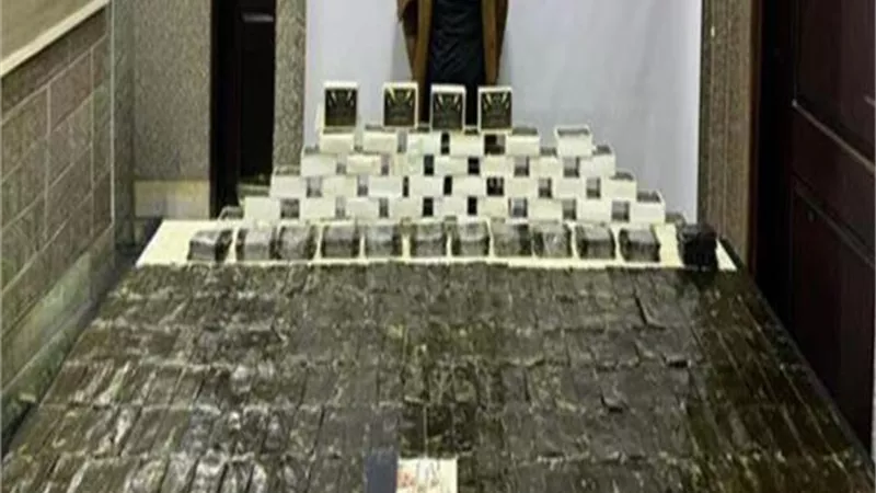 50 كيلو حشيش قيمتها 4 ملايينن جنيه بحوزة عنصر إجرامى خطير