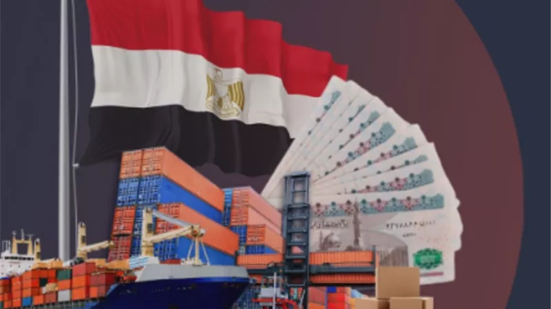 إنفوجراف..ارتفاع رأس المال المدفوع للهيئات الاقتصادية بنسبة 22.7%