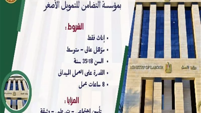 وزارة العمل توفر وظائف جديدة للفتيات بـ 15 محافظة.. ننشر روابط التقديم