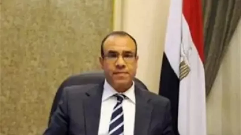 وزير الخارجيةيبحث مع نظيره في النيجر مواجهةالتحديات التي تواجه أفريقيا